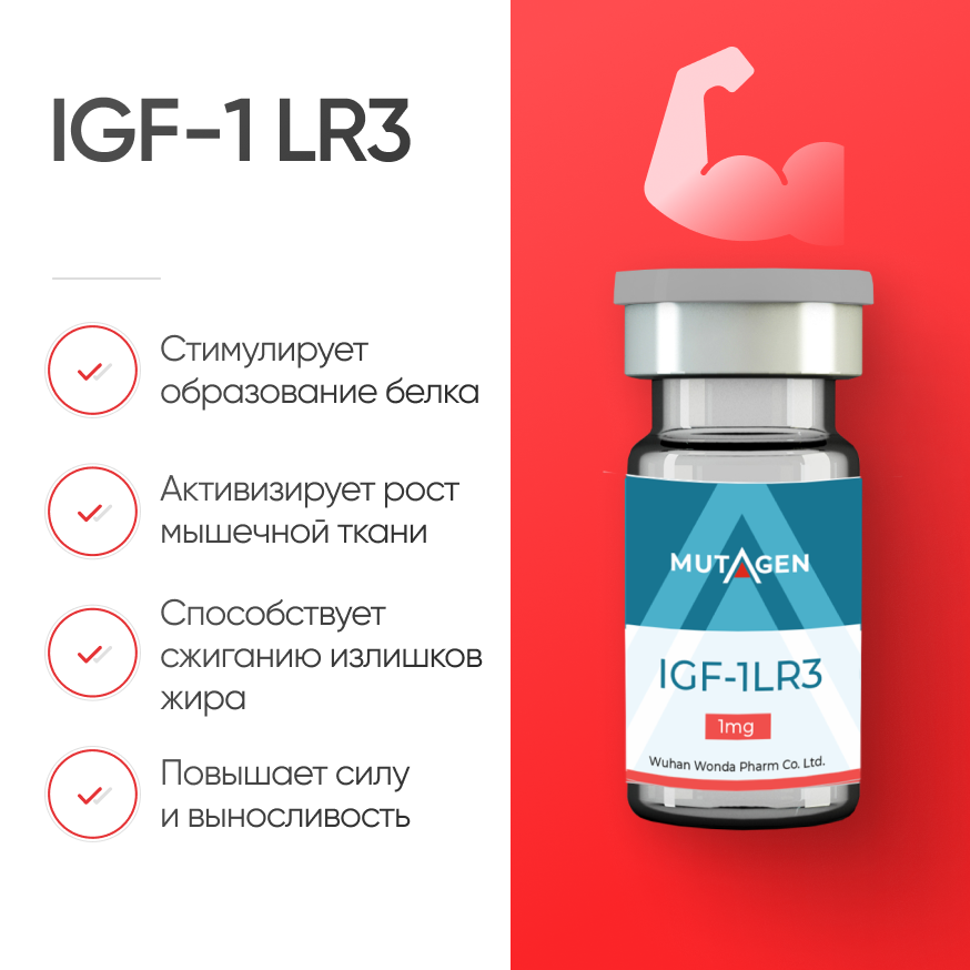 IGF-1 LR3 для жиросжигания и роста мышц