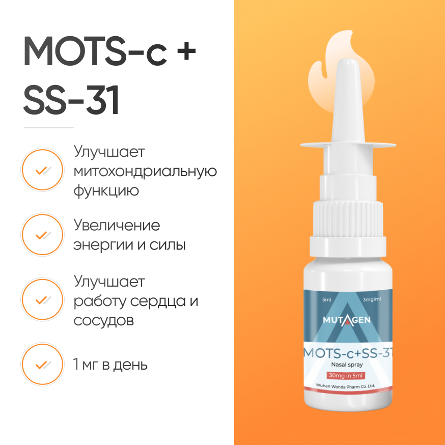 Mots-c + SS-31